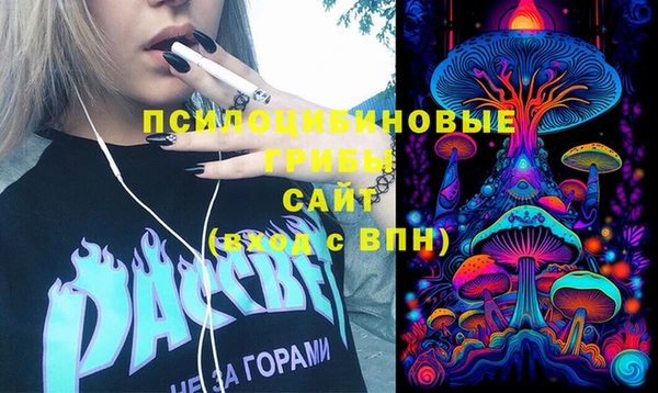 spice Арсеньев