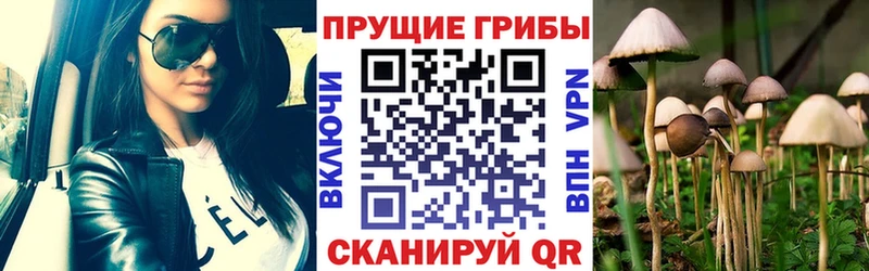 Псилоцибиновые грибы Psilocybine cubensis  Дыгулыбгей 