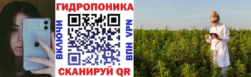 Шишки марихуана Bruce Banner Дыгулыбгей