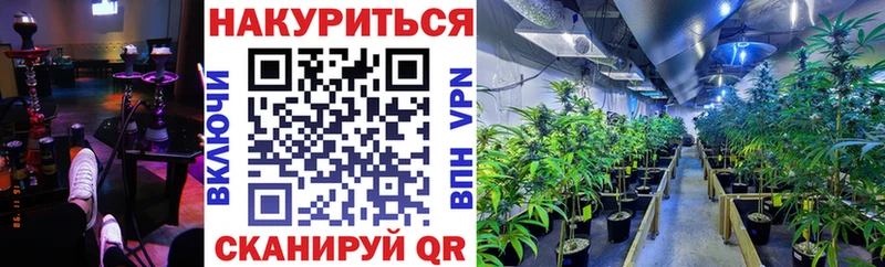 наркота mega вход Бошки Шишки тримм Дыгулыбгей
